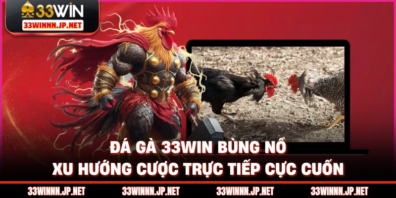 Đá Gà 33WIN Bùng Nổ Xu Hướng Cược Trực Tiếp Cực Cuốn
