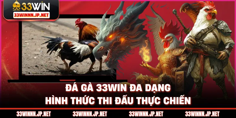 Đá gà 33WIN đa dạng hình thức thi đấu thực chiến