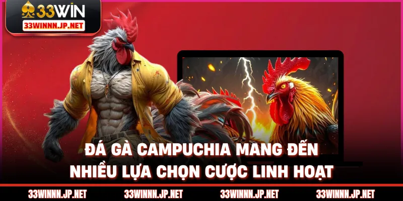 Đá gà Campuchia mang đến nhiều lựa chọn cược linh hoạt