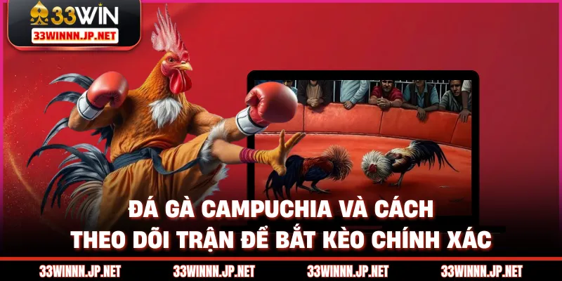 Đá Gà Campuchia Và Cách Theo Dõi Trận Để Bắt Kèo Chính Xác