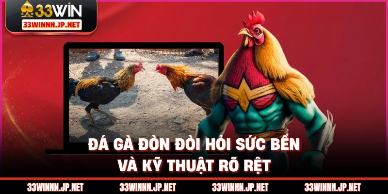 Đá gà đòn đòi hỏi sức bền và kỹ thuật rõ rệt
