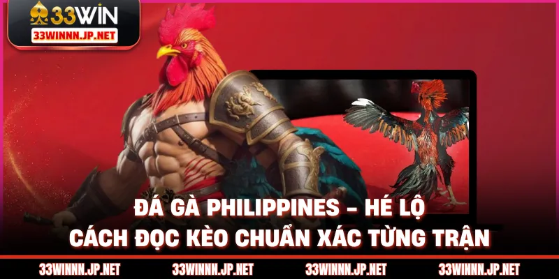Đá Gà Philippines - Hé Lộ Cách Đọc Kèo Chuẩn Xác Từng Trận