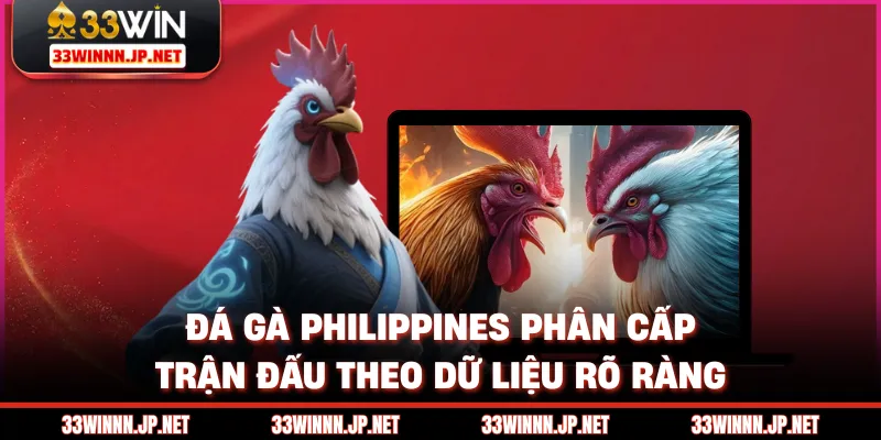 Đá gà Philippines phân cấp trận đấu theo dữ liệu rõ ràng