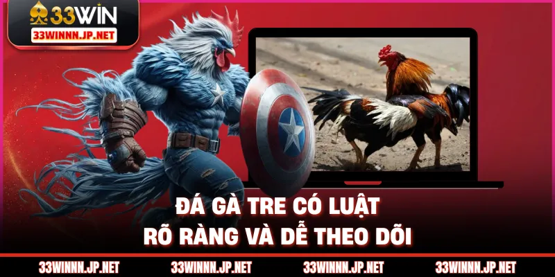Đá gà tre có luật rõ ràng và dễ theo dõi