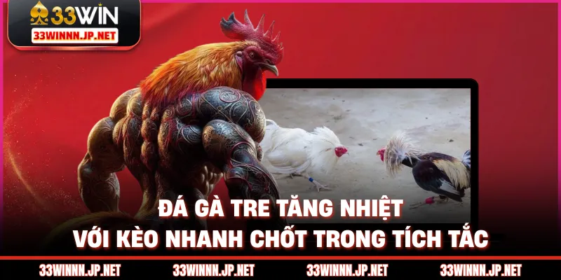 Đá Gà Tre Tăng Nhiệt Với Kèo Nhanh Chốt Trong Tích Tắc