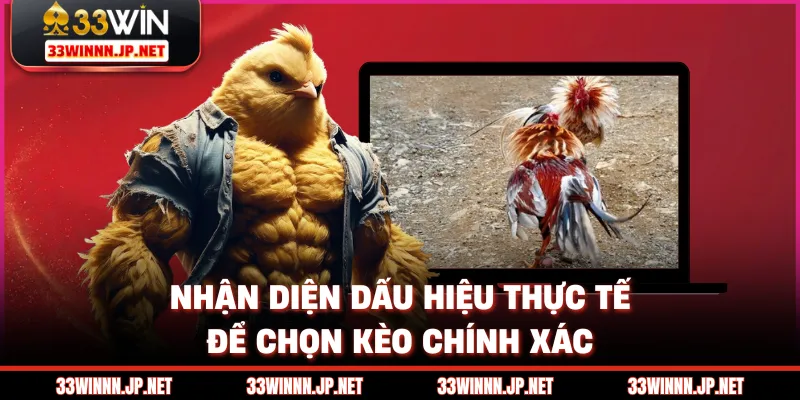 Nhận diện dấu hiệu thực tế để chọn kèo chính xác