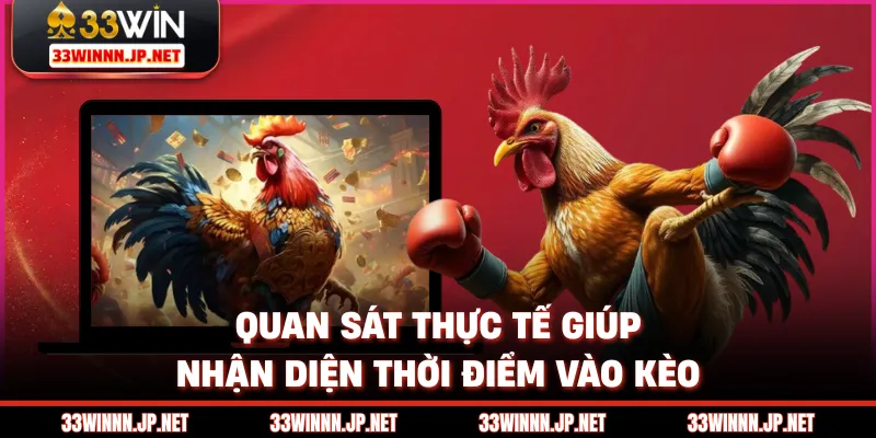 Quan sát thực tế giúp nhận diện thời điểm vào kèo